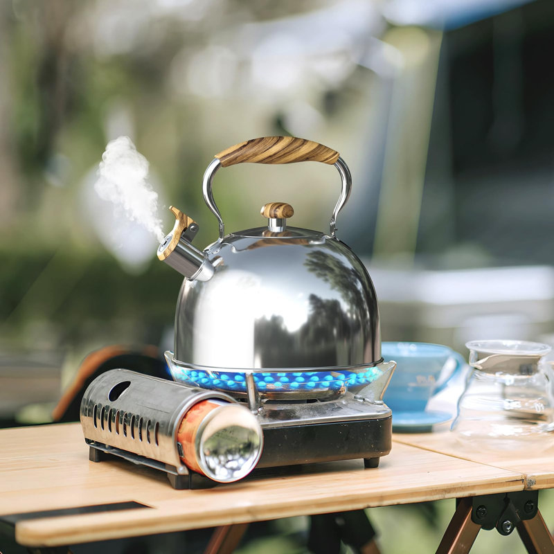 Bouilloire de 2,6 litres pour cuisinière, Argent
