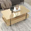 Table basse avec rangement de style traîneau