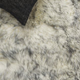 Safavieh Ivory / Smoke Gray Area Rug