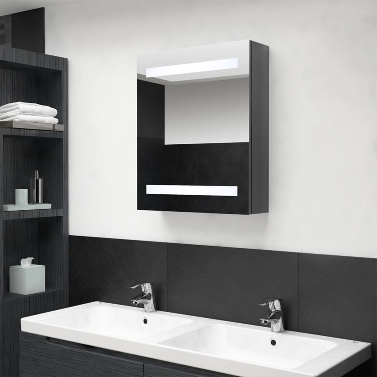 Sigismund 50cm x 60cm Surface Mount Mirror Cabinet with LED Lighting