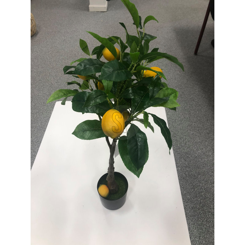 Adeesa Vase Filler