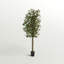 Arbre à feuillage 66 po en pot-2142900437