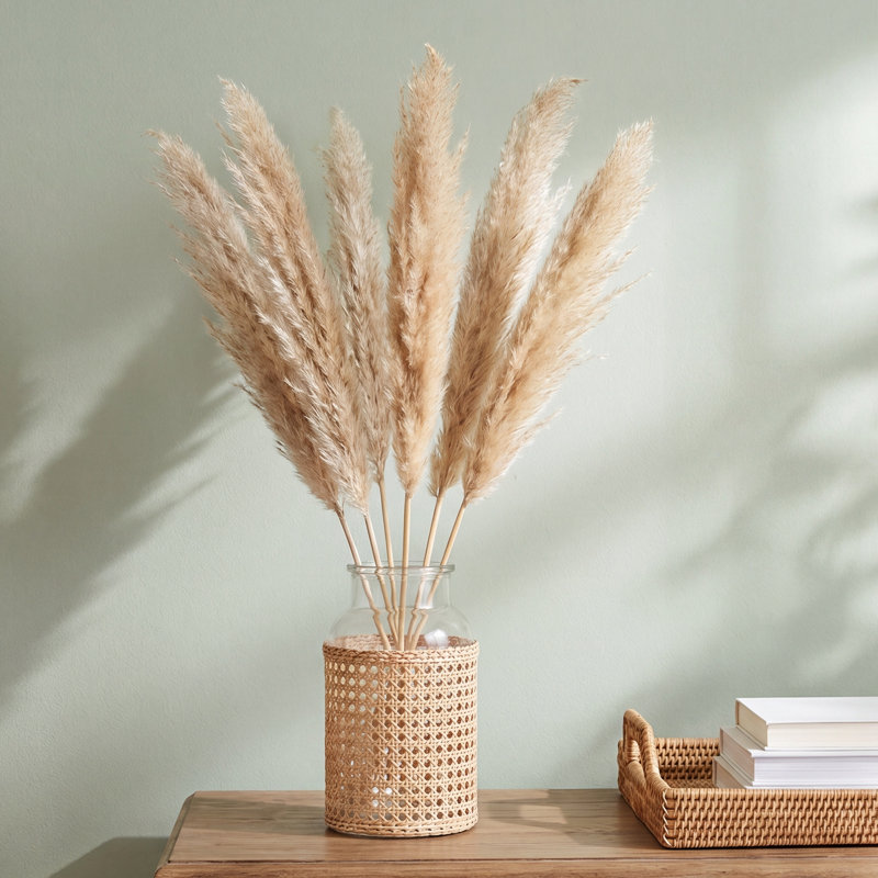 Noemie Pampas Grass, Tan