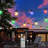 Solar String Lights Outdoor, 26Ft Waterproof Solar Lights With Remote, 16 G50 Bulbs Solar Powered Light With Timer 8 Modes For Outdoor Indoor Garden Patio Balcony Holiday (Multi-Coloured)
