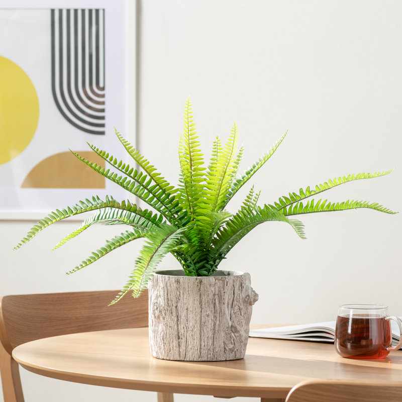 Pot de fleurs en ciment St Philips Marsh, H 4,25 po x l 5 po x P 5 po