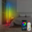 Bogoslav 125cm Black LED Novelty Floor Lamp with USB