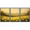 Golden Daisy Meadow