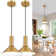 Battery Operated Pendant Lights 2 Pack,Rechargeable Pendant Light with Remote