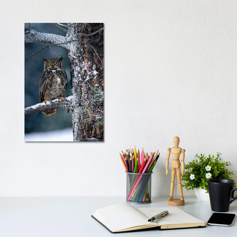 Great Horned Owl Perched in Tree Dusted with Snow, British Columbia, Canada I 1 Piece Wrapped Canvas Wall Art