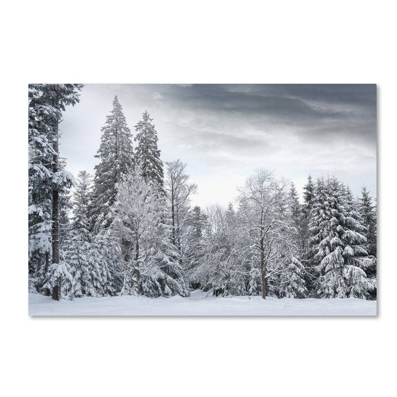 «We Only Have Forever» par Philippe Sainte-Laudy - reproduction de photo sur toile tendue, H 30 po x l 47 po