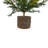SEASONAL GREENERY TREE S/2 PINE BSKT 2FT