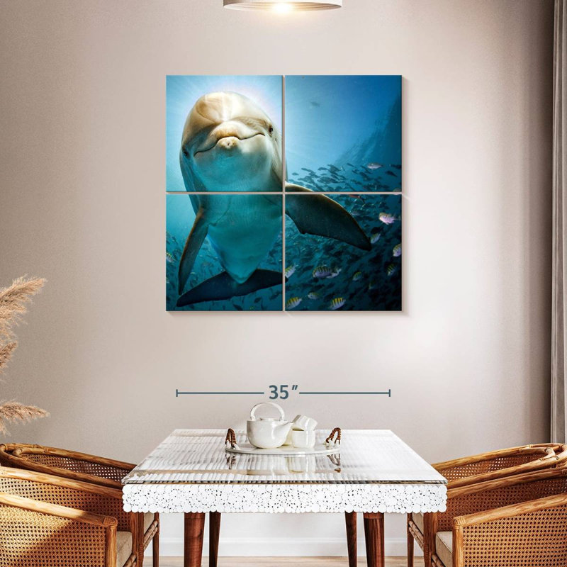 Brampt Curious Dolphin, 38'' H x 38'' W