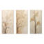Minimalisme, arbre d'érable beige solitude-745514588