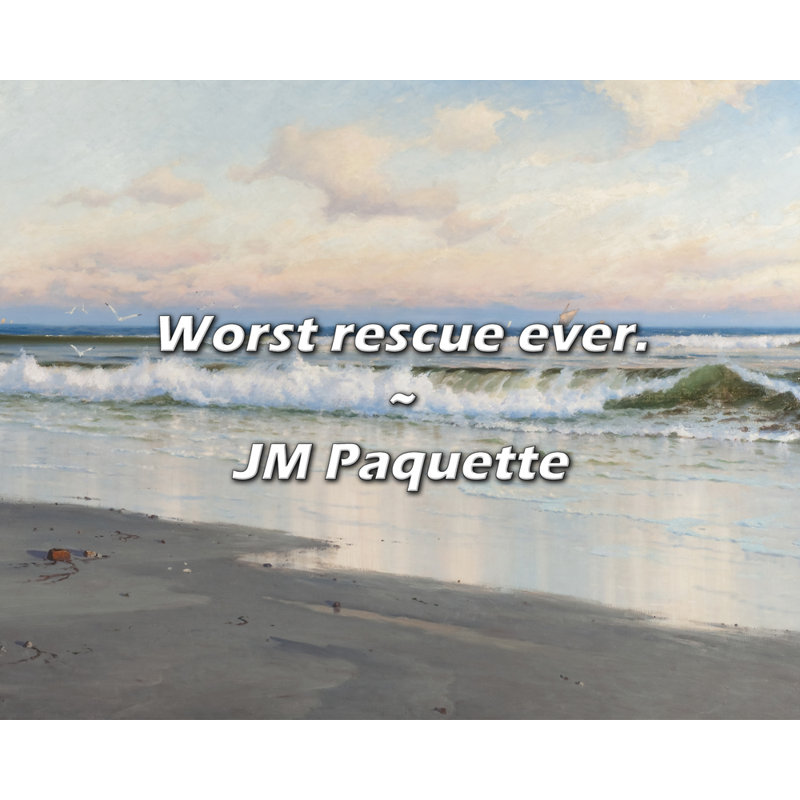 Citation de JM Paquette: Pire sauvetage!, H 20 po x l 24 po