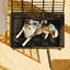 Cage pour chien robuste Stratford-350571365