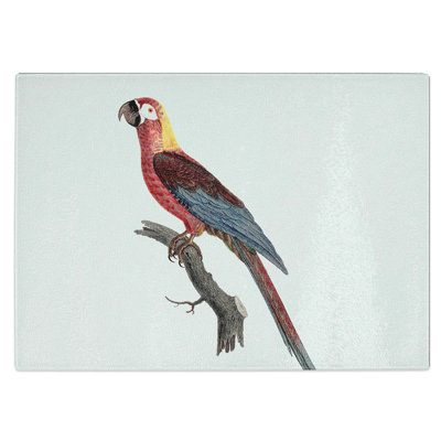 Tempered Glass Cuban Macaw Parrot Chopping Board