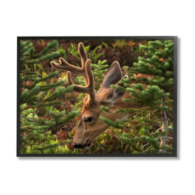 " Deer Forest Nature Vegetation " by Dennis Frates