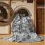 Nialah Performance Oriental Indoor Rug-1256592648
