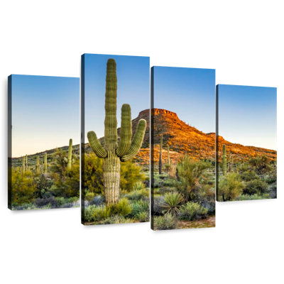 Désert de Sonoran