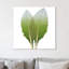 Artichoke - Wrapped Canvas Print-665718939