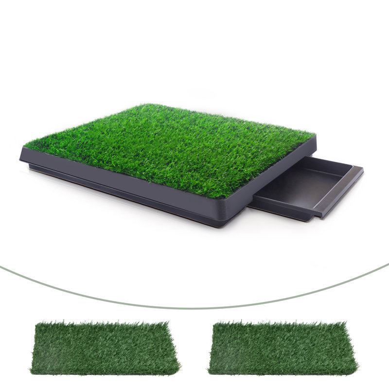 Dannyelle Dog Pee Turf