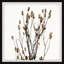 Rustic Branches - Single Picture Frame Painting-889997239