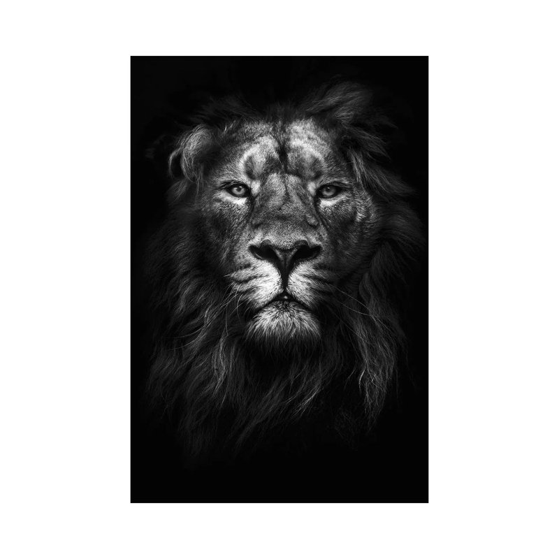 King Of Kings - Print on Canvas, Wrapped Canvas, 30.48cm H x 20.32cm W x 1.91cm D