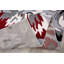 Tapis gris / rouge Rooshi-33381137