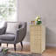Armoire de rangement à 5 tiroirs Riesner-819850040