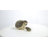 Mother and Baby Hedgehogs