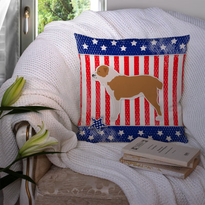 Coussin intérieur/extérieur Patriotic