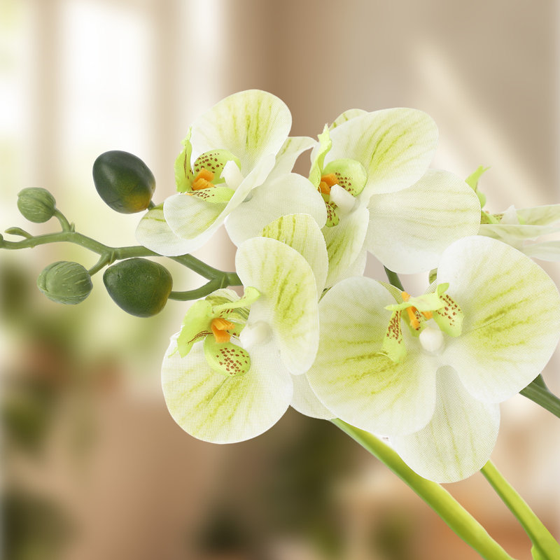 Orchidée phalaenopsis en soie dans un vase, véritable arrangement de fleurs artificielles réalistes pour la décoration de mariage à domicile