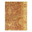 Oriental Area Rug in Brown