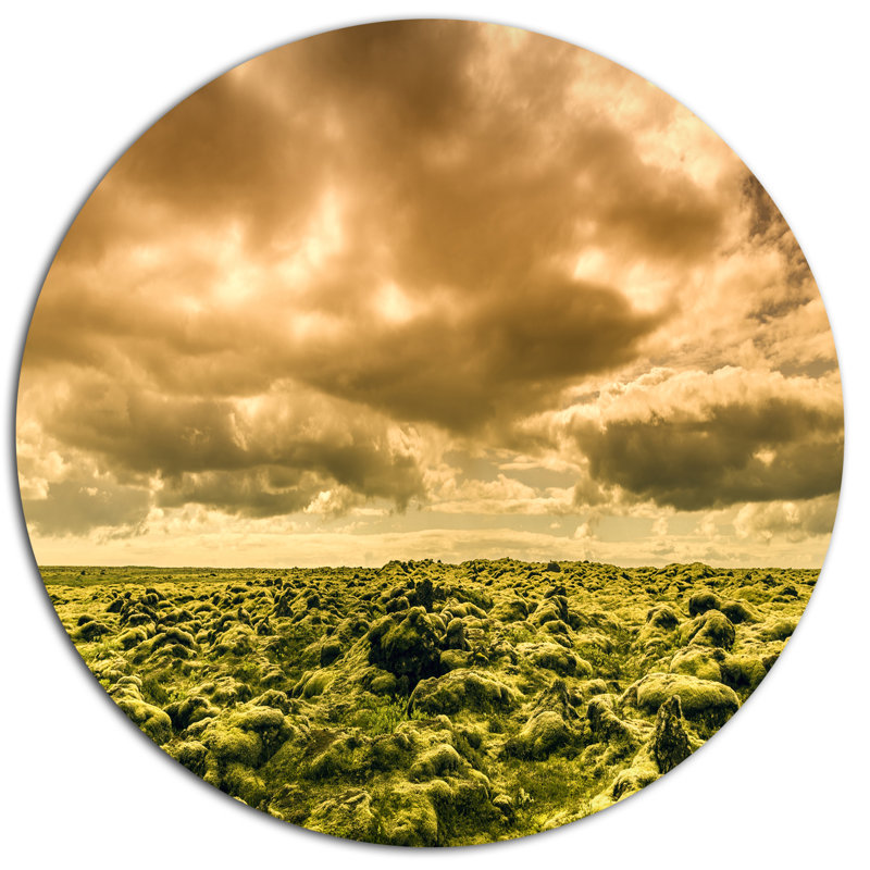 «Beautiful View of Sky and Moss», reproduction de photo sur métal, H 36 po x l 36 po