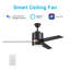 Ventilateur de plafond d'intérieur intelligent Raiden-1706408460-1706408462-1706408457