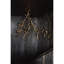 Lustre unique Winery-87713942-87713941-87713943