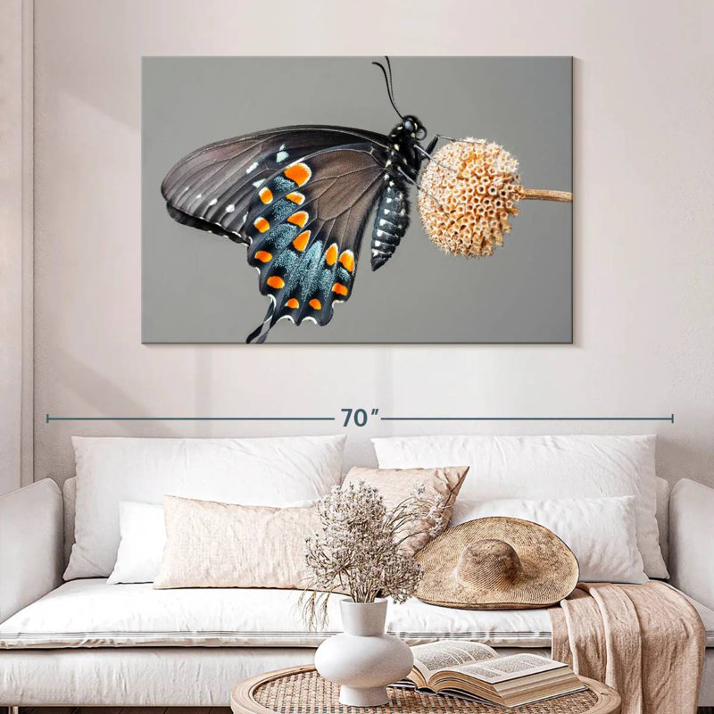 Papillon machaon noir Brampt, H 32 po x l 48 po