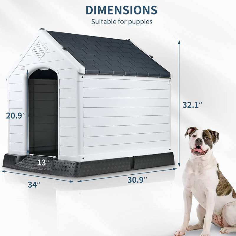 Niche pour chien en plastique Aunyae, Gris, 37.4" H x 35" W x 38.9" D