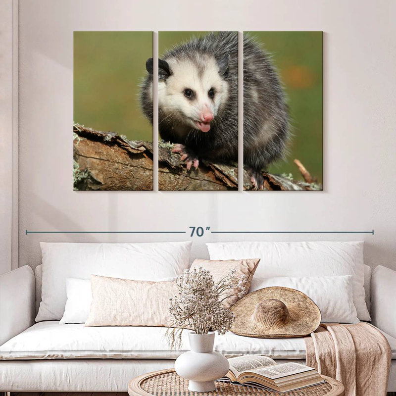 Brampt Angry Opossum, 32" H x 50" W