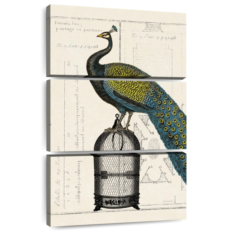 Cage à oiseaux Brampt Peacock II