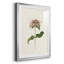 Mauve Garden Flowers V - peinture encadrée-949402227-949402224