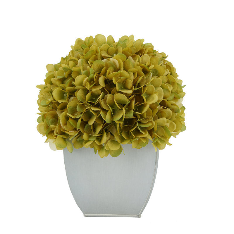 Arrangements floraux d'hortensias en pot, Sauge