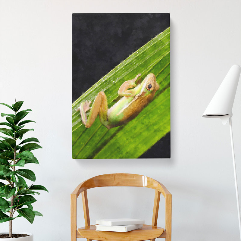 Frog Vol.1 - Wrapped Canvas, 76cm H x 50cm W x 3cm D