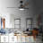 52" Modern  5-CCT LED Propeller Ceiling Fan with Lights and Remote Control, Dimmable, 6 Speeds Reversible Motor