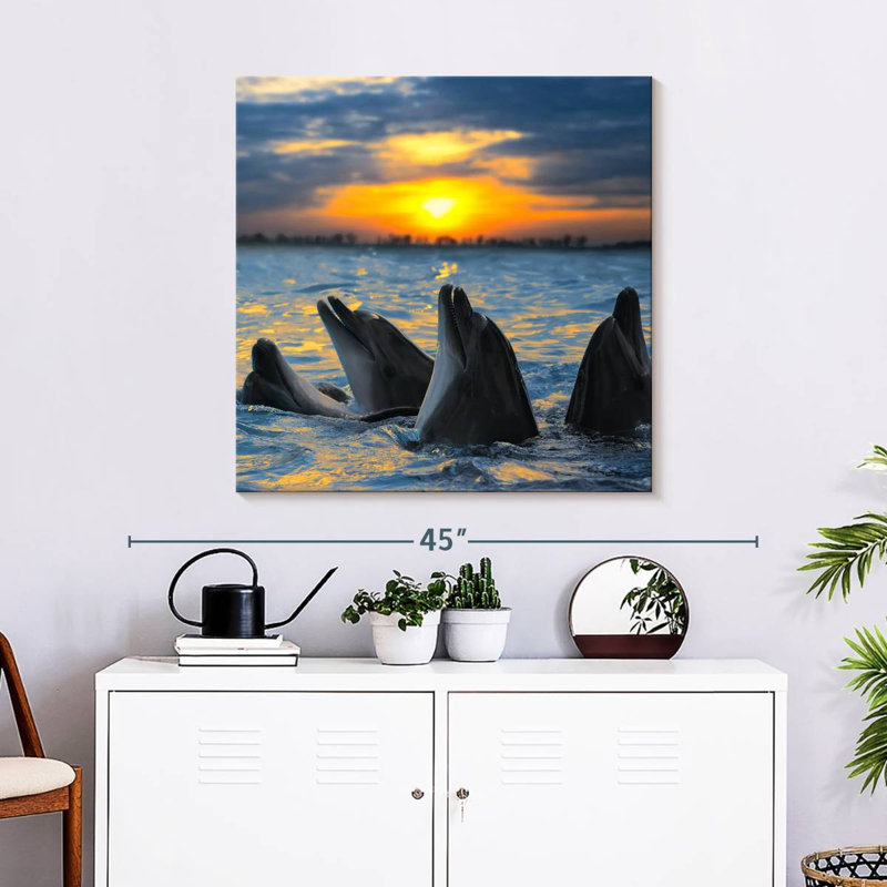 Brampt Grand Cayman Dolphins, 16" H x 16" W