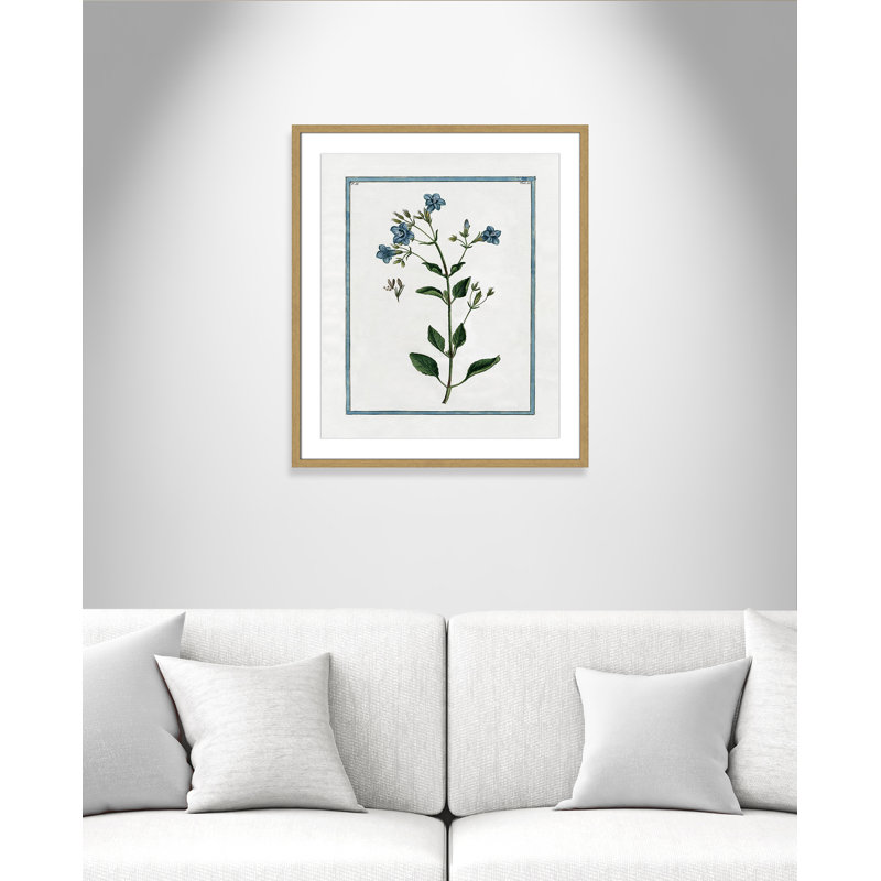 Colombe Shabby Elegance Botanical II - Art encadré, L 21,5 po x H 25,5 po, Cadre naturel