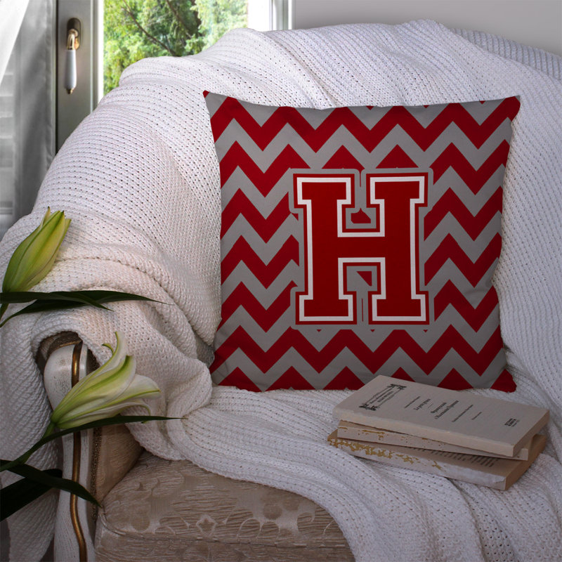 Housse et insert de coussin extérieur d'extérieur, Rouge / argenté, H