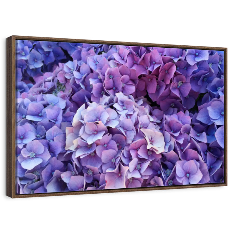 Grappes d'hortensias mauves, 46 po x 31 po, Cadre flottant noyer