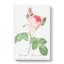 A Pink Cabbage Rose by Pierre-Joseph Redoute - Wrapped Canvas-55368066