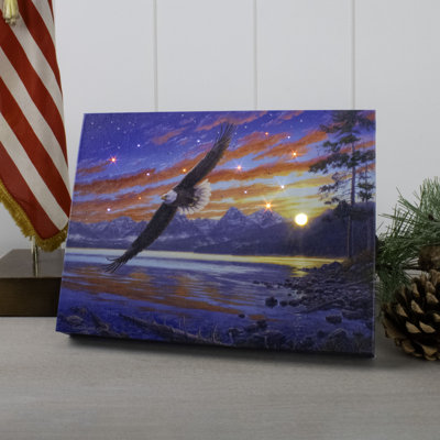 Toile de table lumineuse Freedom Flight 8X6